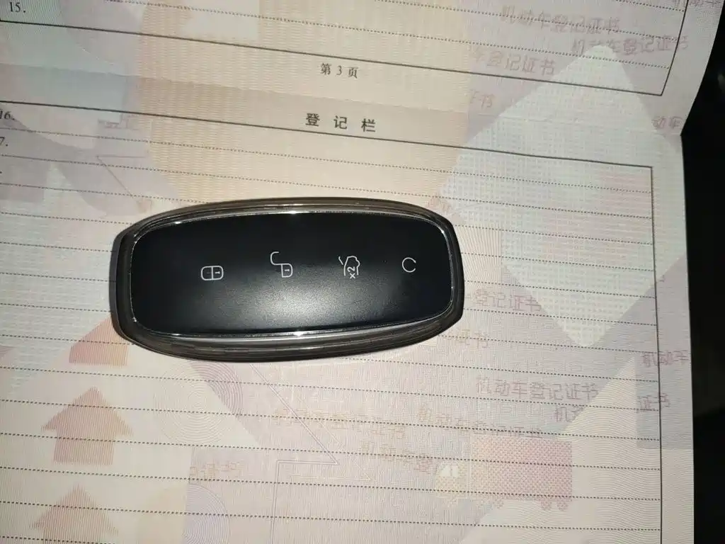 Denza Denza N7 — миниатюра 9