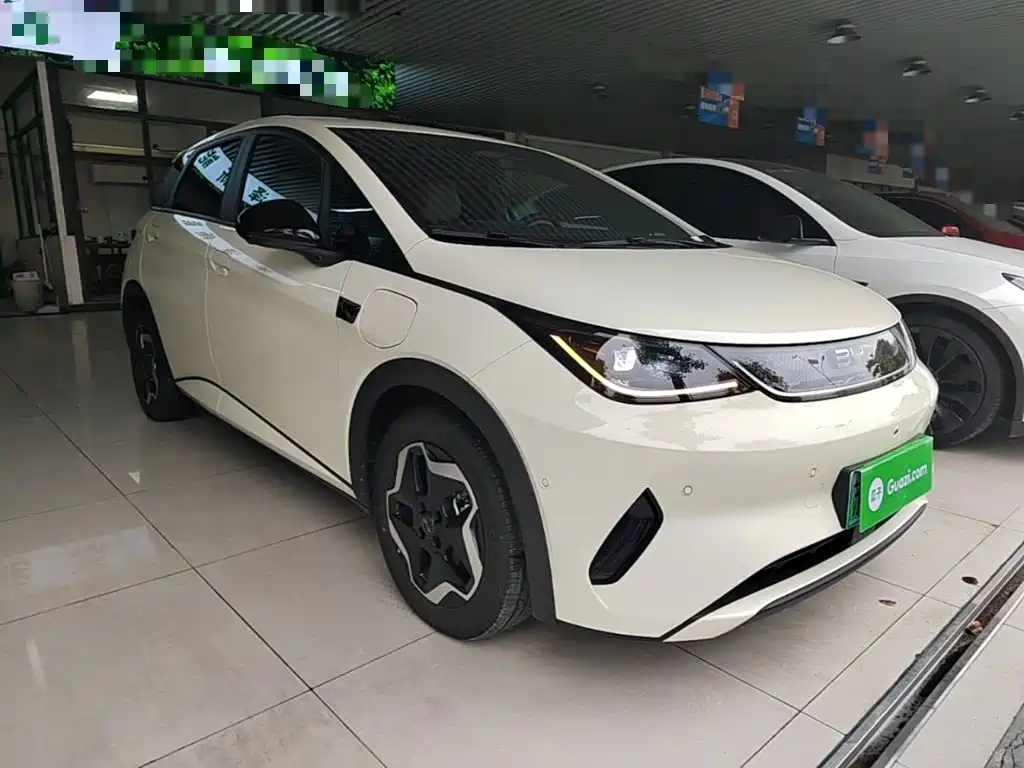 BYD Dolphin — миниатюра 4