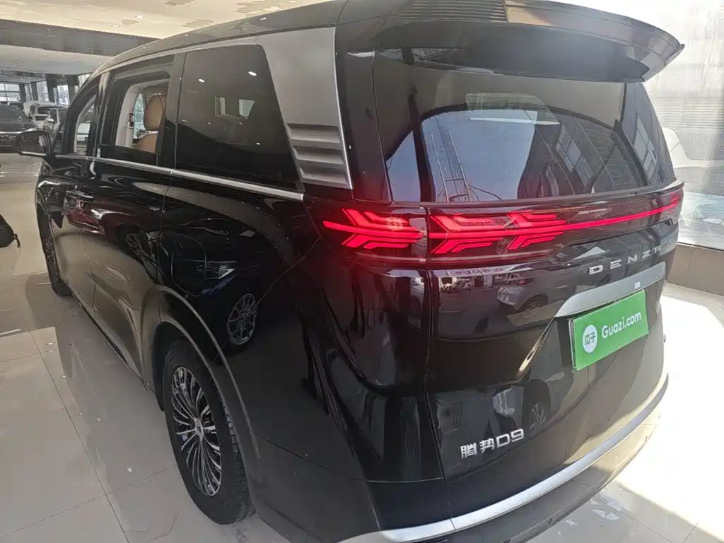 Denza Denza D9 — миниатюра 5
