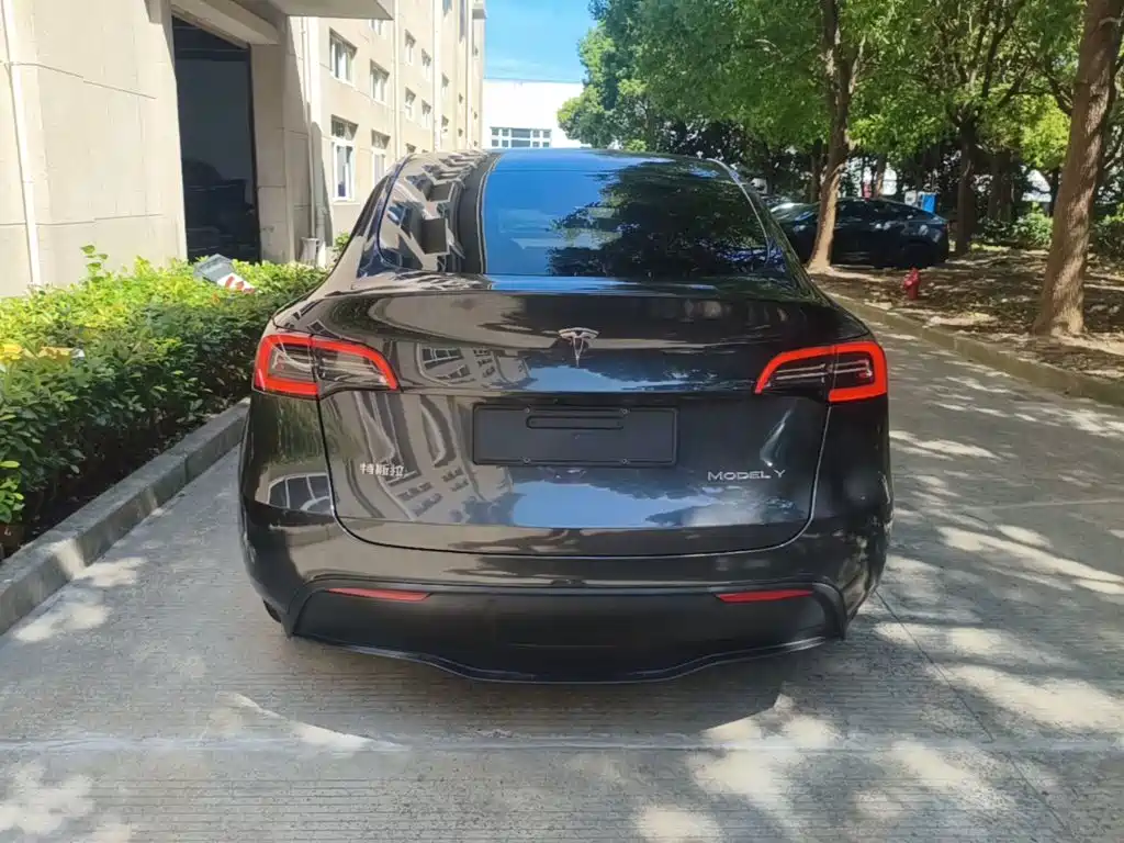 Tesla Model Y — миниатюра 6
