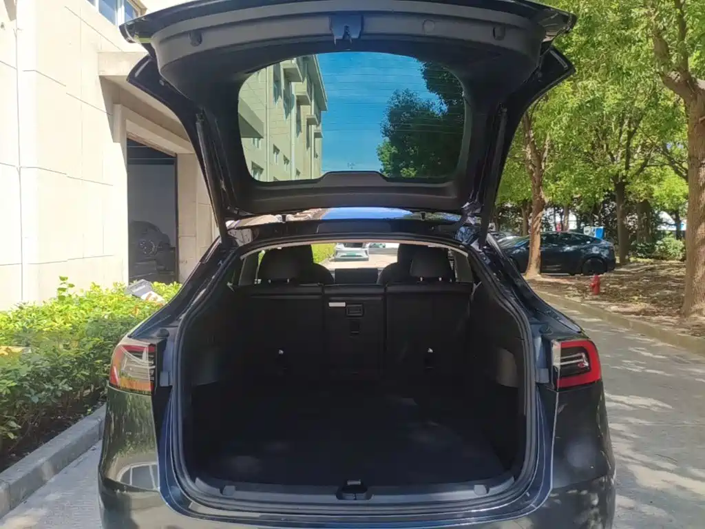 Tesla Model Y — миниатюра 19