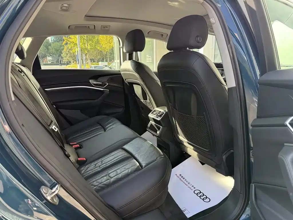 Audi e-tron (Import) — миниатюра 6