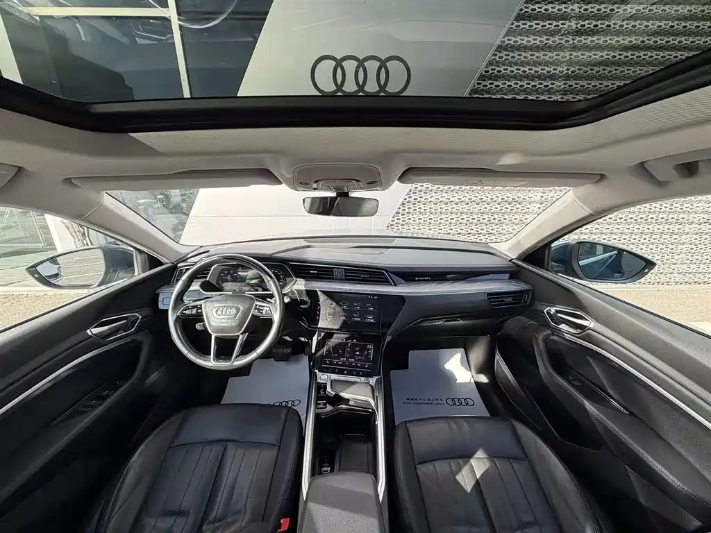 Audi e-tron (Import) — миниатюра 15