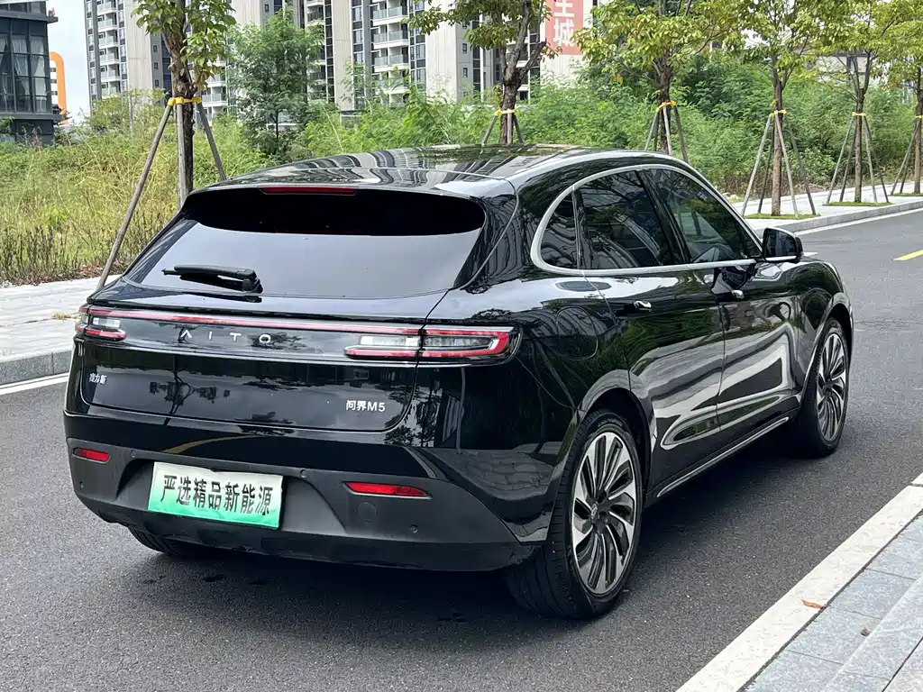 AITO Wenjie AITO M5 — миниатюра 9