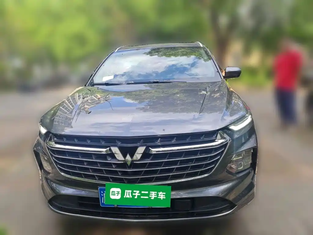 Wuling Victory — миниатюра 3