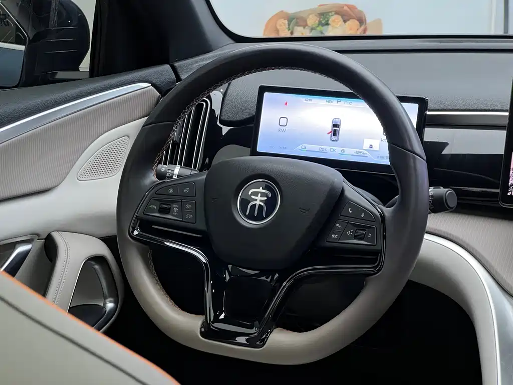 BYD SONGJIANG NEW ENERGY