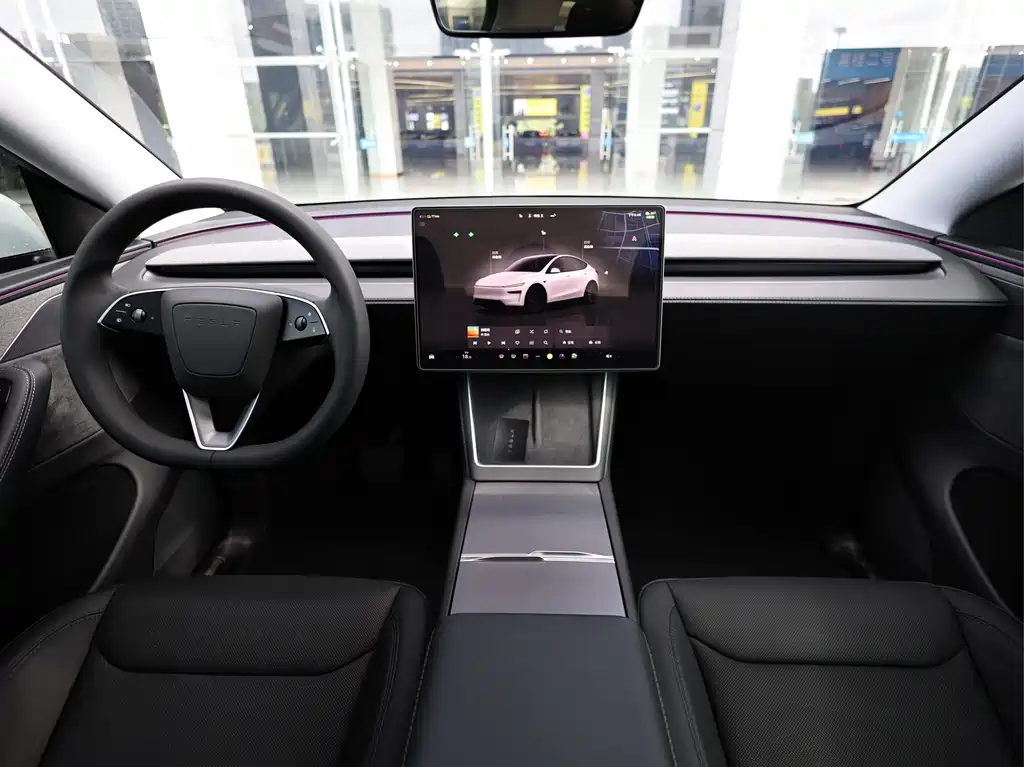 Tesla Model Y — миниатюра 9