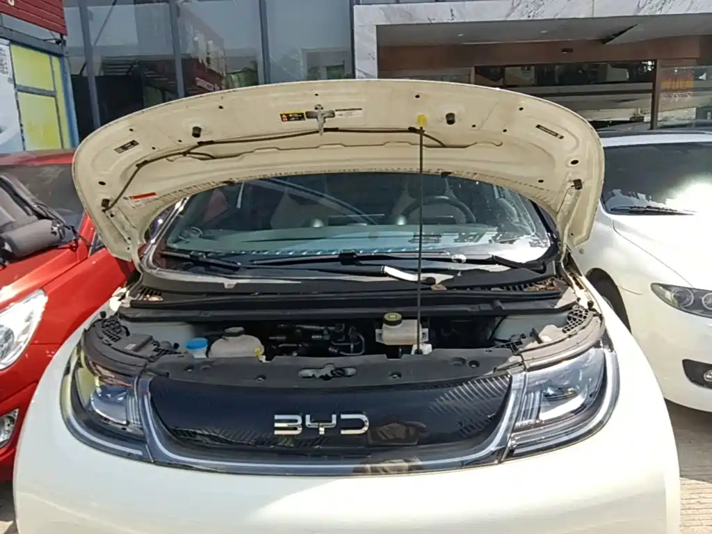 BYD Dolphin — миниатюра 20