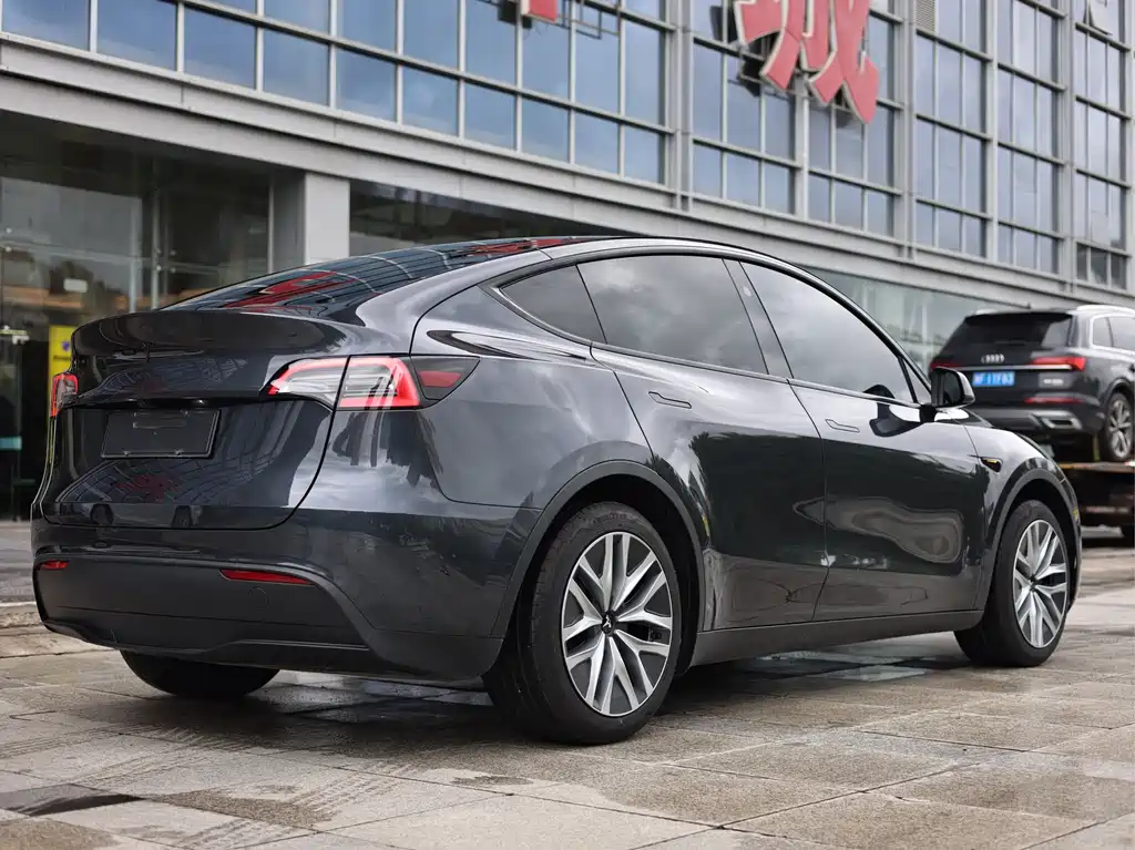 Tesla Model Y — миниатюра 5