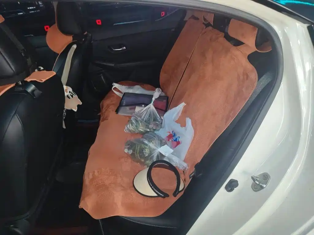 Nissan Sylphy — миниатюра 18