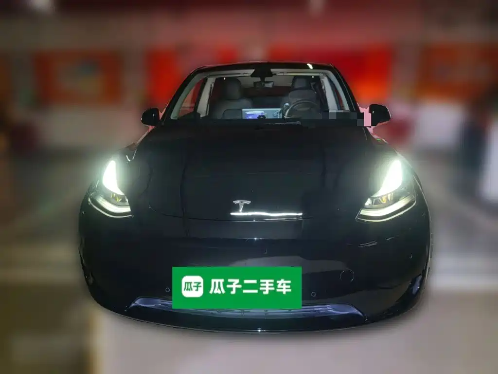 Tesla Model Y — миниатюра 2