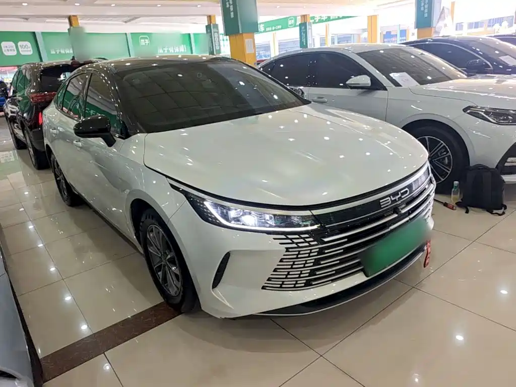BYD Destroyer 05 — миниатюра 4
