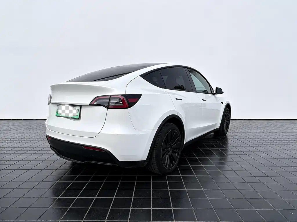 Tesla Model Y — миниатюра 8