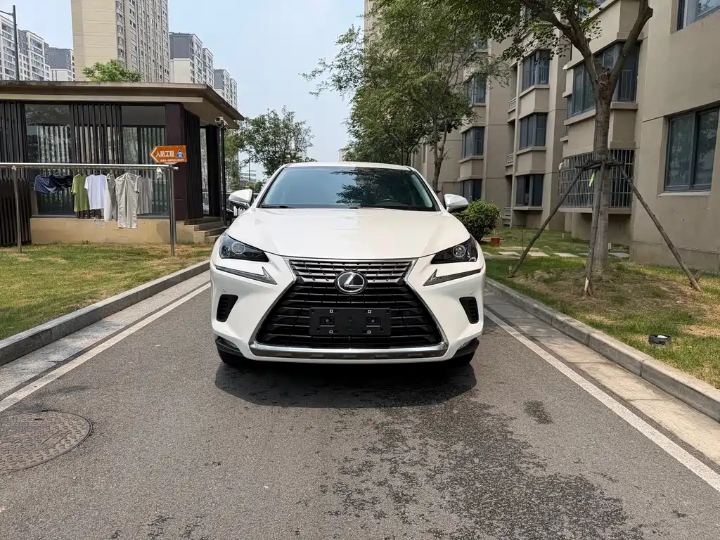 Lexus NX — миниатюра 2