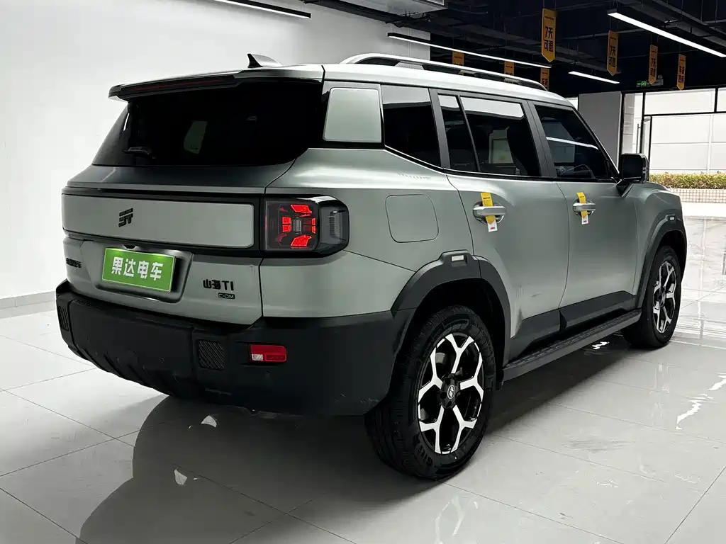 Shanhai Shanhai T1 — миниатюра 6
