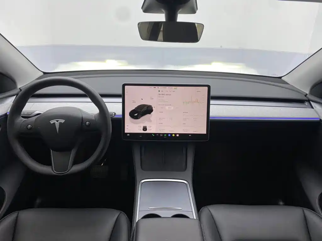 Tesla Model Y — миниатюра 13