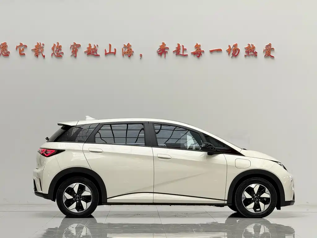BYD Dolphin — миниатюра 4