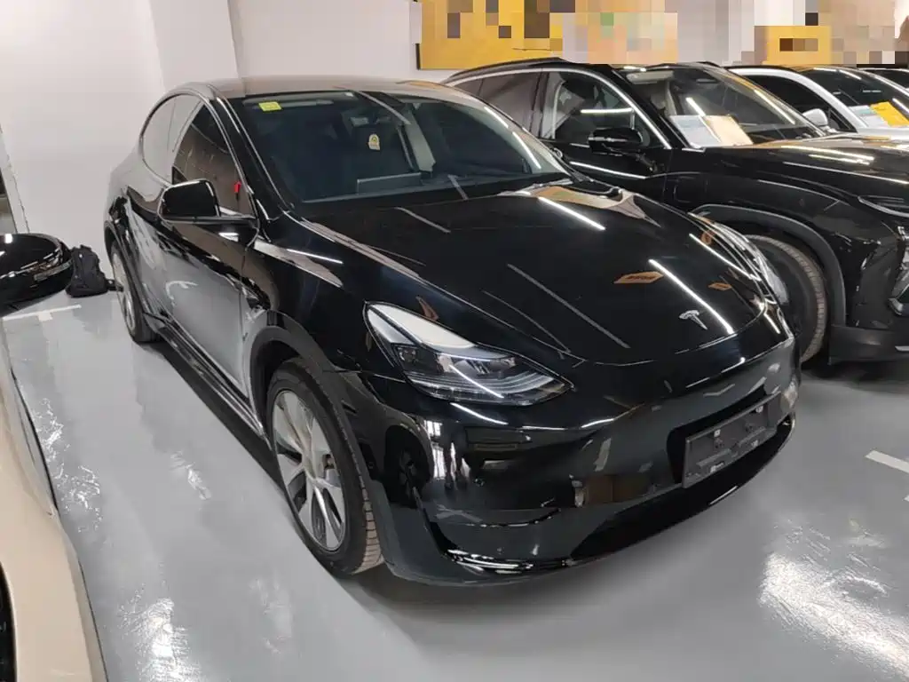 Tesla Model Y — миниатюра 4
