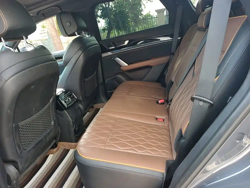 BYD Tang New Energy — миниатюра 17
