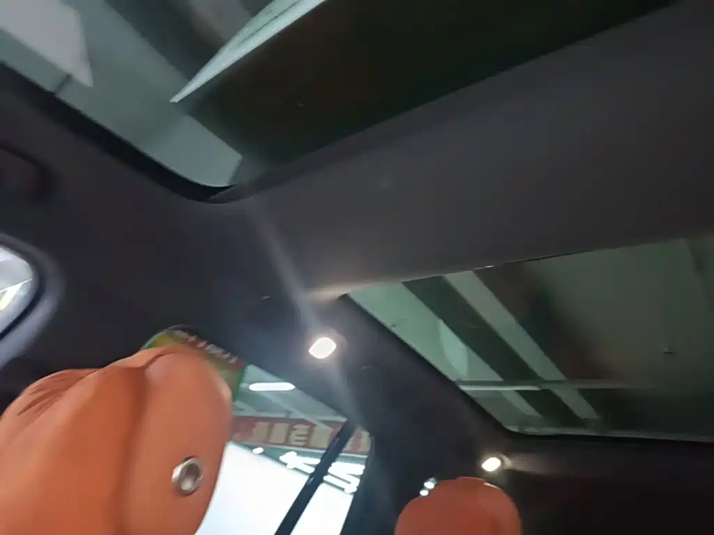 Li Auto Li L8 — миниатюра 18
