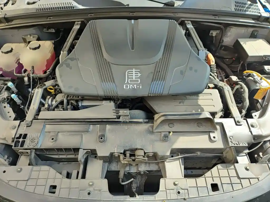 BYD Tang New Energy — миниатюра 11