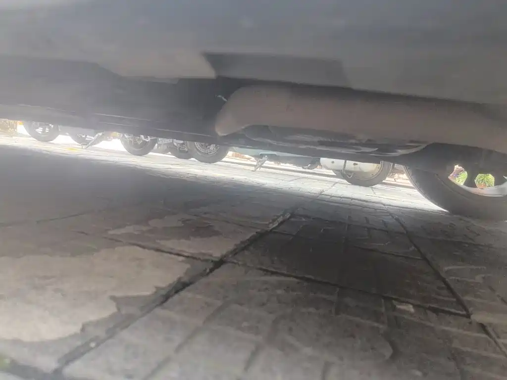 GAC Motor Shadow Leopard — миниатюра 18