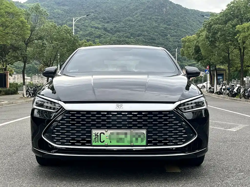 BYD Qin Plus PLUS 2023 Champion DM-i 55KM