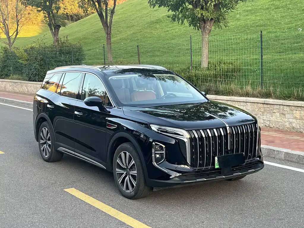 Hongqi Hongqi HS7 PHEV — миниатюра 2