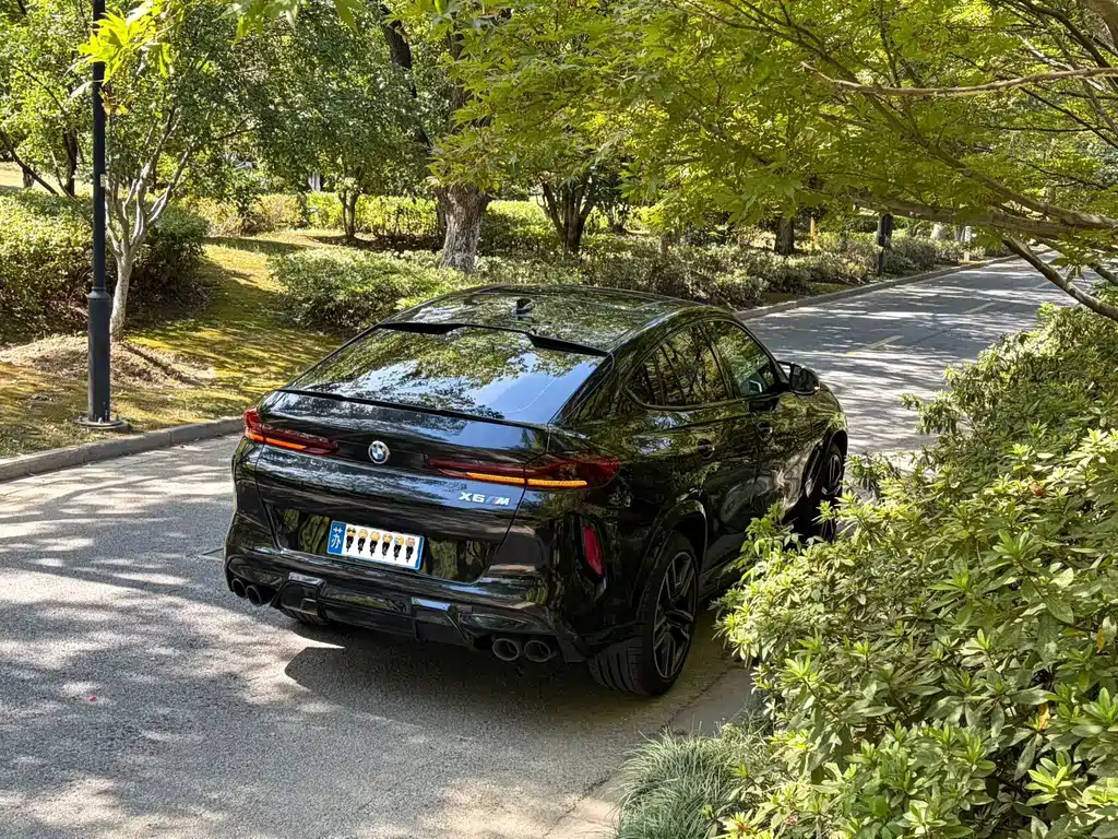 BMW X6 M — миниатюра 8