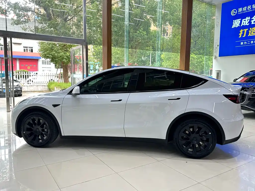 Tesla Model Y — миниатюра 9