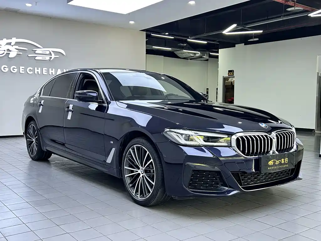 BMW 5 Series — миниатюра 3