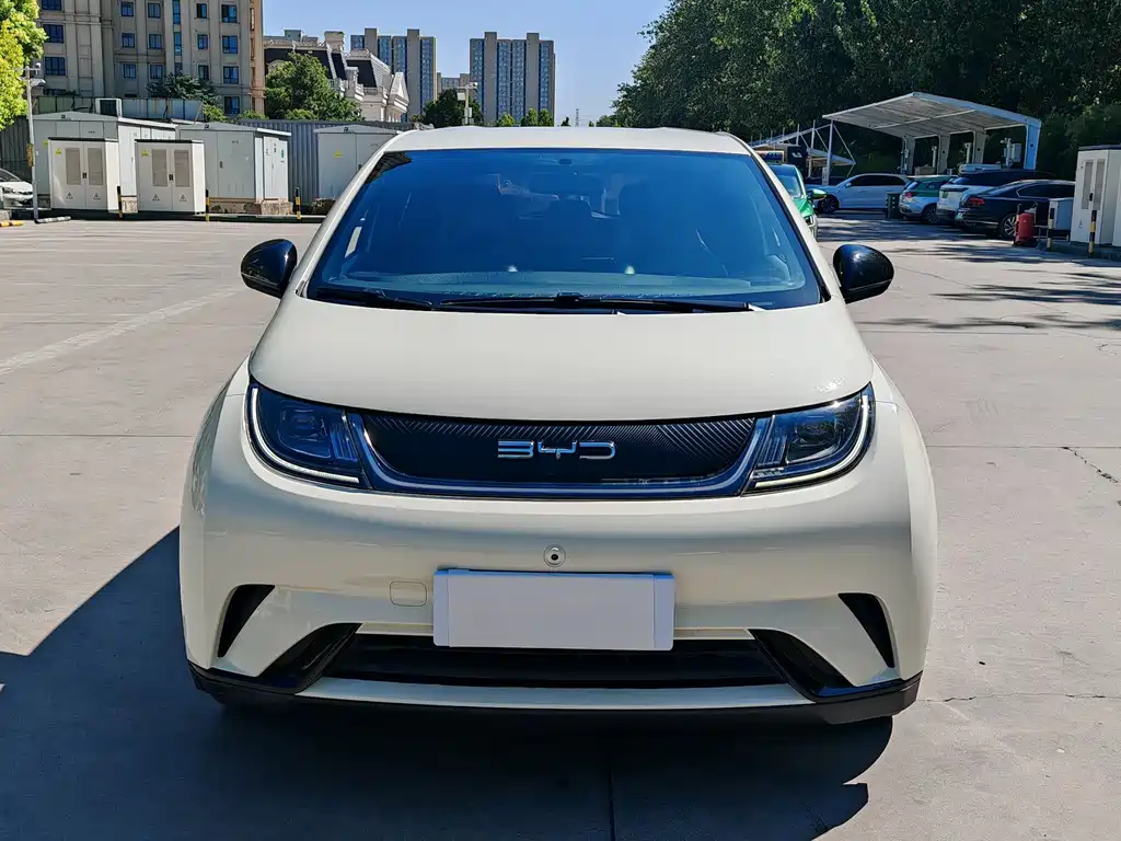 BYD Dolphin — миниатюра 2