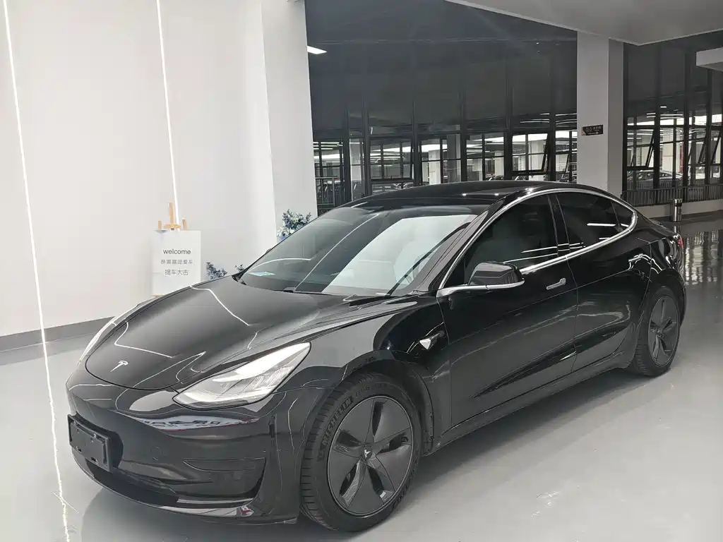 Tesla Model 3 — миниатюра 3