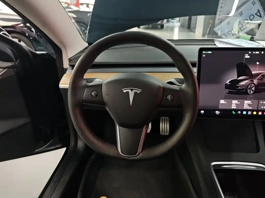 Tesla Model 3 — миниатюра 11