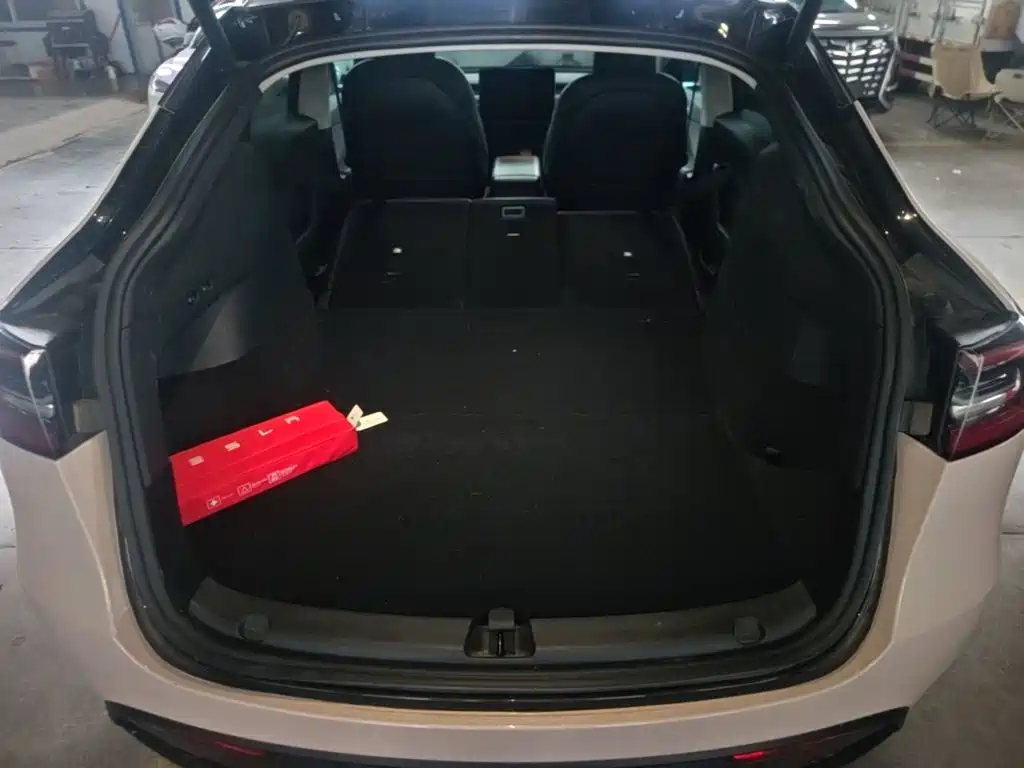 Tesla Model Y — миниатюра 19