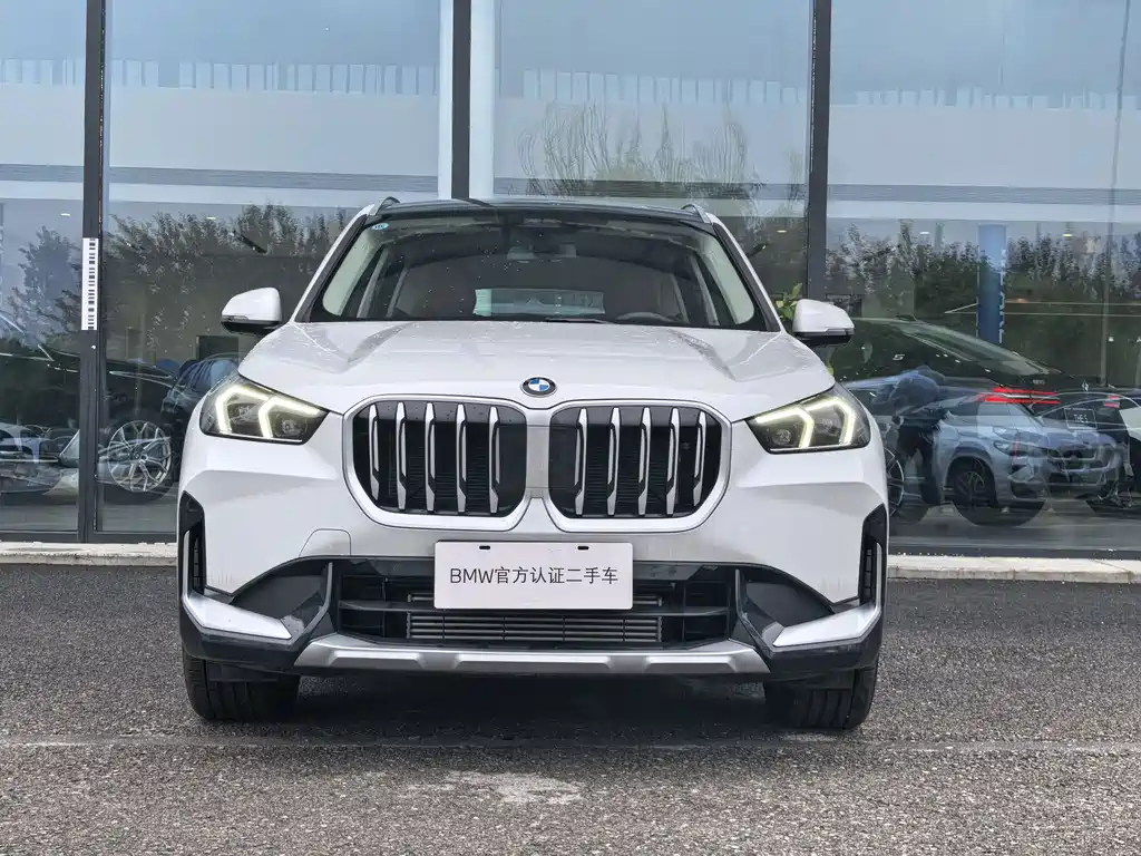 BMW X1 — миниатюра 2