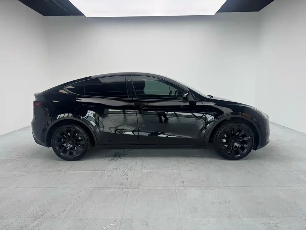 Tesla Model Y — миниатюра 7