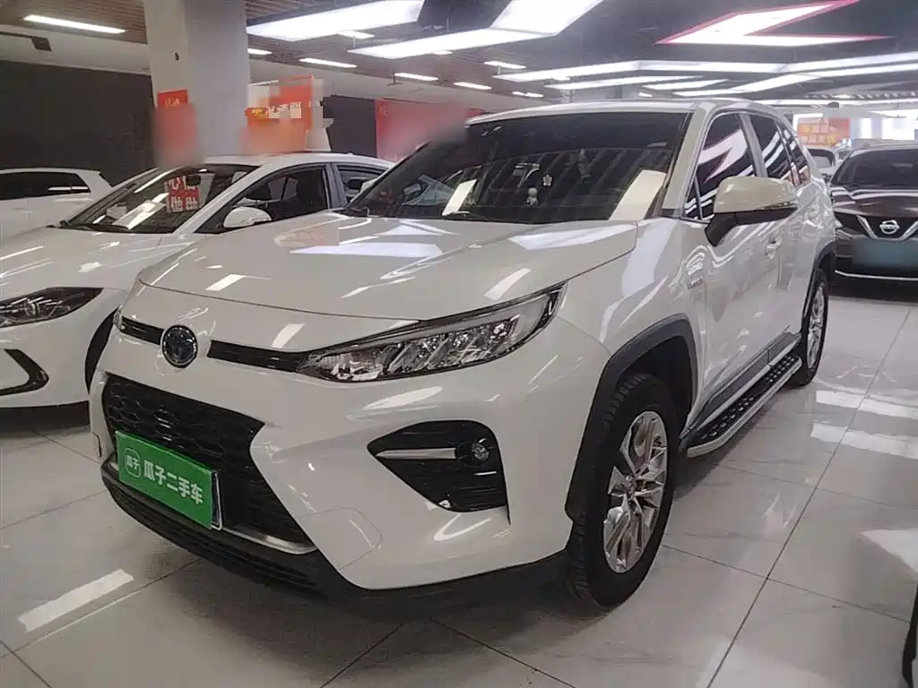 Toyota Wildlander 2020