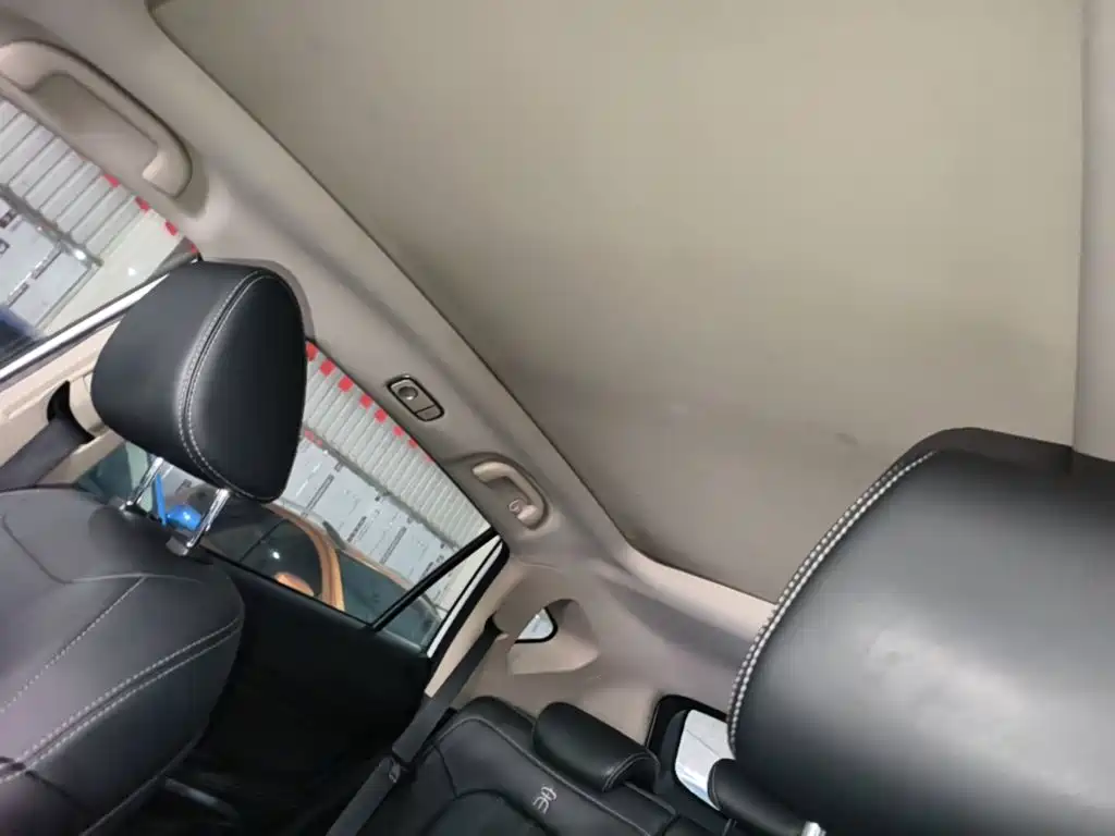 BYD Song — миниатюра 18