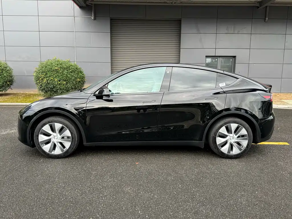 Tesla Model Y — миниатюра 5