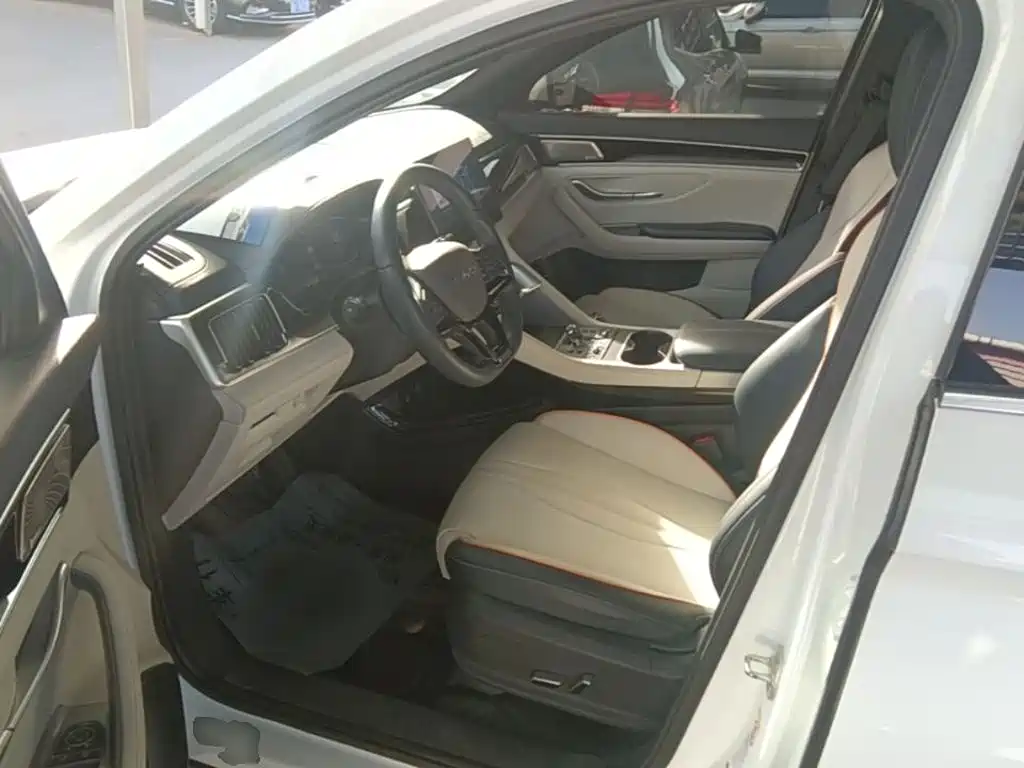 BYD PLUS New Energy — миниатюра 16