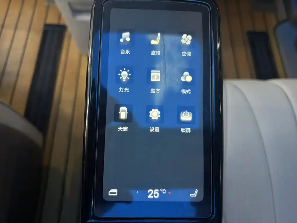 Denza Denza D9 — миниатюра 7