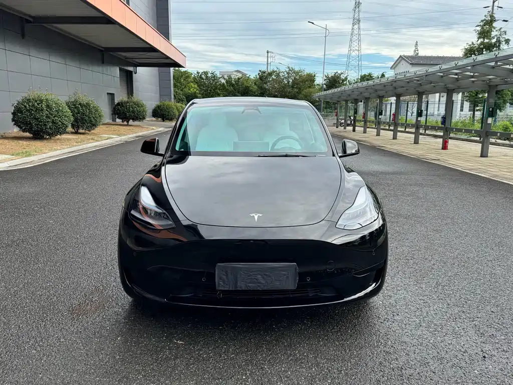 Tesla Model Y — миниатюра 2