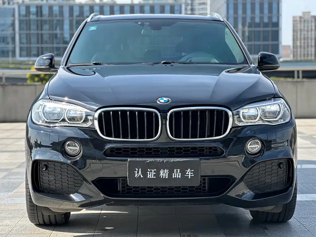 BMW X5 (Import) — миниатюра 2