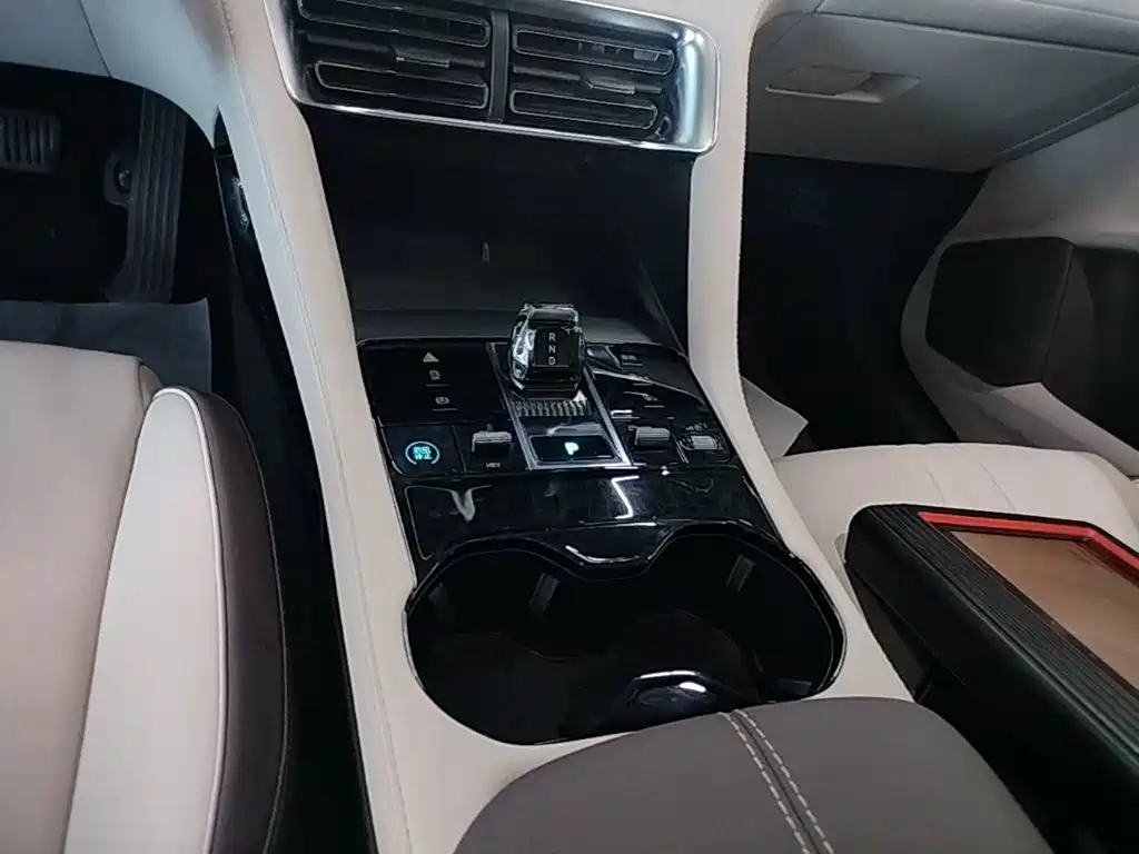 BYD PLUS New Energy — миниатюра 14