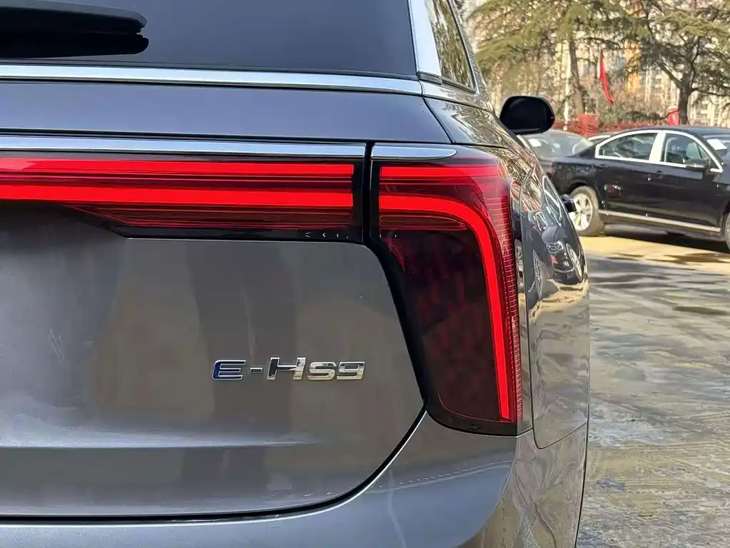 Hongqi Hongqi E-HS9 — миниатюра 15