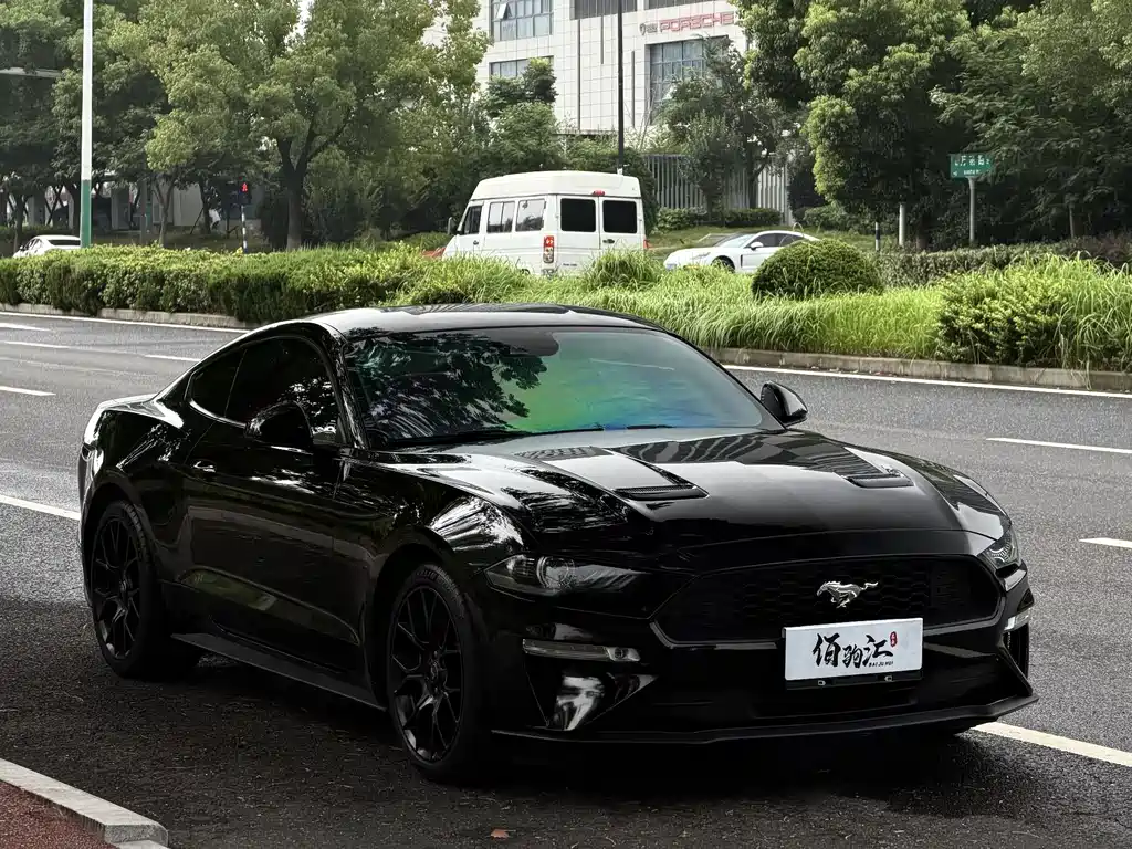 Ford Mustang — миниатюра 3