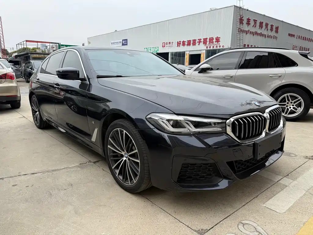 BMW 5 Series — миниатюра 3
