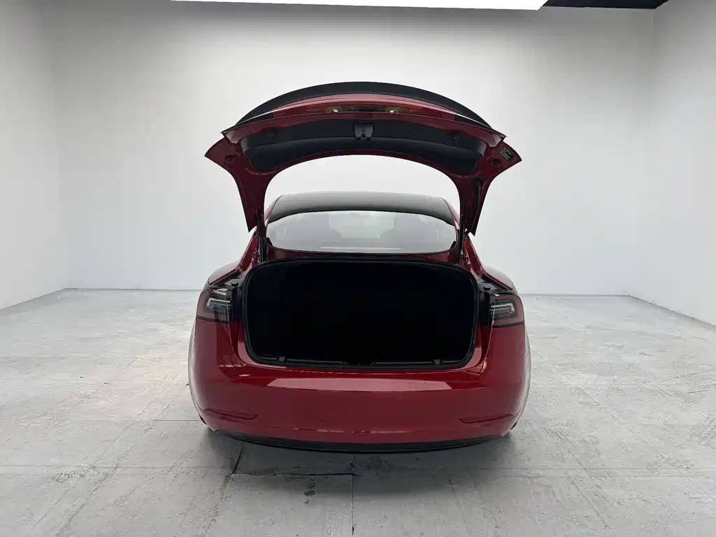 Tesla Model 3 — миниатюра 8