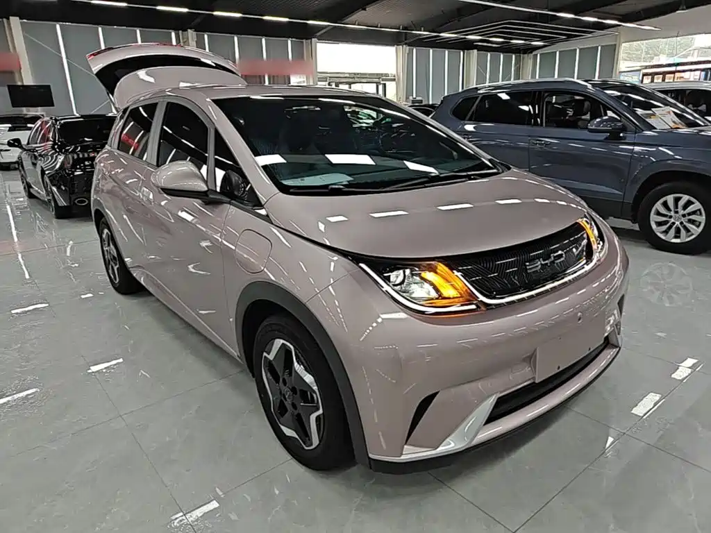BYD Dolphin — миниатюра 4